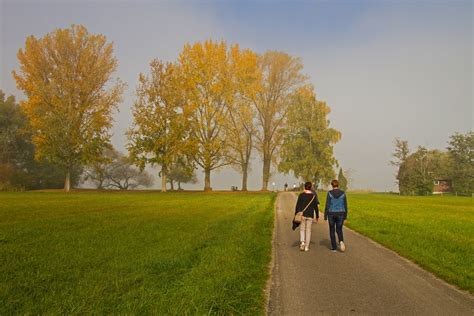 Herbsttag Herbstmorgen Nebel Kostenloses Foto Auf Pixabay