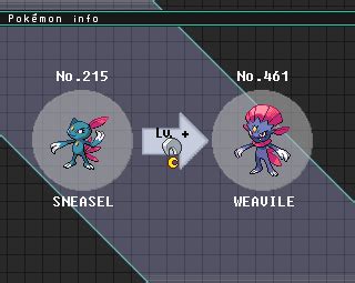 Sneasel Evolution Chart