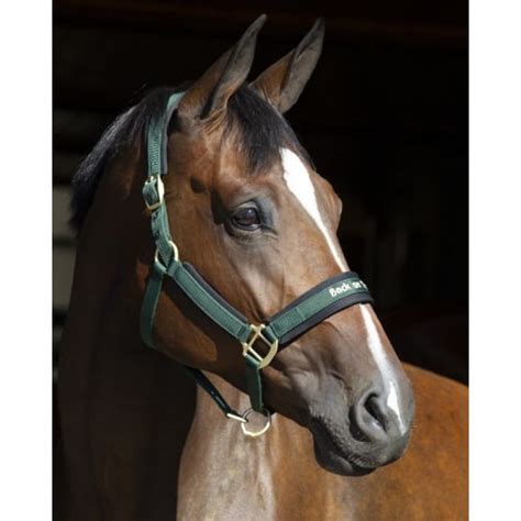 Back On Track Werano Halter Headcollar Charlies Products