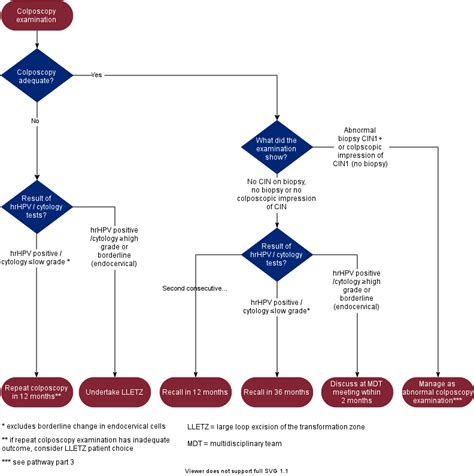 Cervical Screening Care Pathway Gov Uk