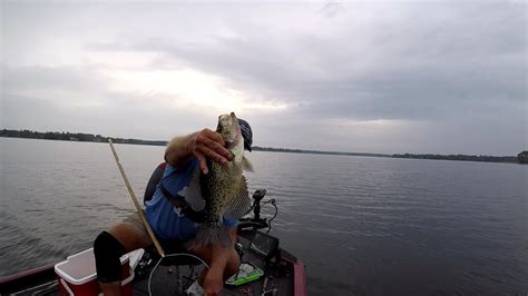 Brush Pile Fishing For Crappie Using Sand Worm And Minnows Youtube