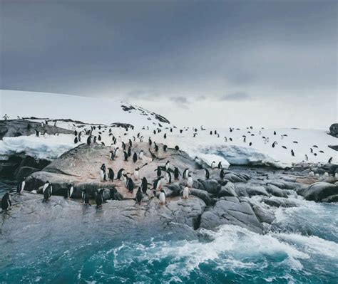 5 of the Best Antarctica Tours from Ushuaia