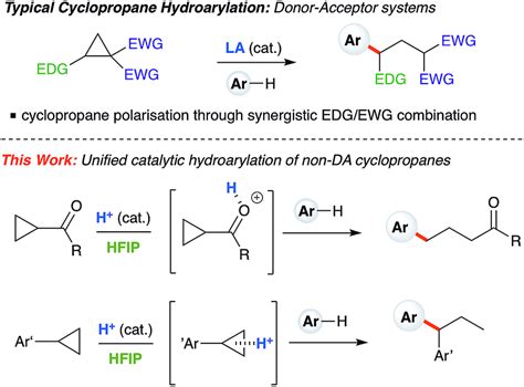 Typical Hydroarylation Reactivity Of Cyclopropanes Under Lewis Acid