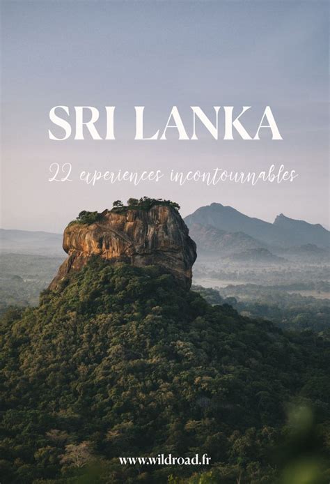 22 choses à voir et à faire en voyage au Sri Lanka in 2024 Asia