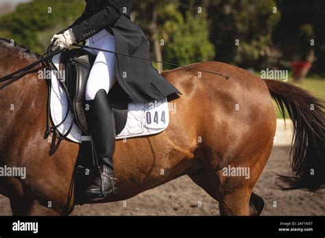 Caucasian woman riding her dressage horse Stock Photo - Alamy