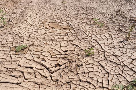 Menanggulangi Degradasi Lahan Dan Kekeringan Demi Atasi Krisis Iklim