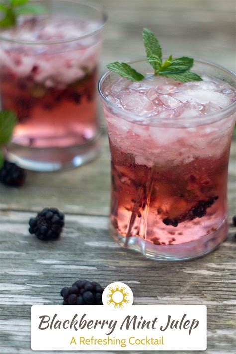 Blackberry Mint Julep Refreshing Cocktail