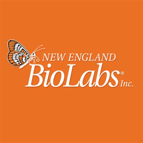 New England Biolabs Introduces Faustovirus Capping Enzyme A Novel