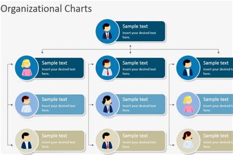 Hierarchical Organizational Chart Template