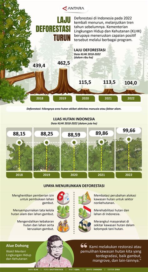 Laju Deforestasi Turun Infografik Antara News