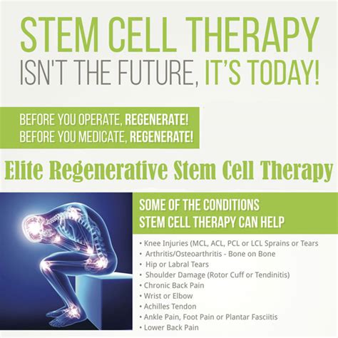 Learn The Biology Of Stem Cells From Elite Regenerative