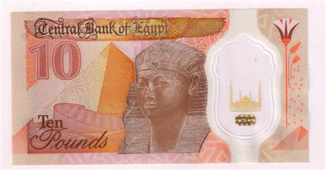 Egypt Pounds Unc Polymer Currency Note Kb Coins Currencies