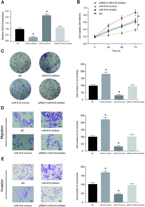 Long Intergenic Non Protein Coding Rna Promotes The Progression Of