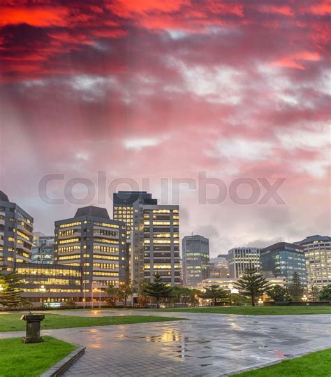 Wellington night skyline from waterfront | Stock image | Colourbox