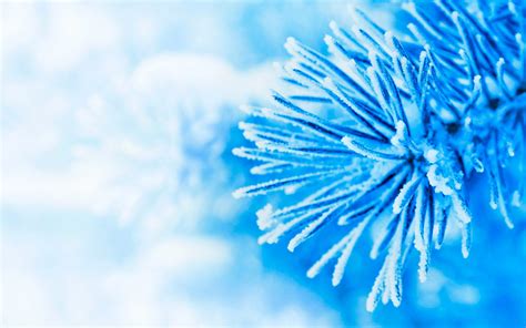 579 Winter Hd Wallpapers Backgrounds Wallpaper Abyss Blue Colour