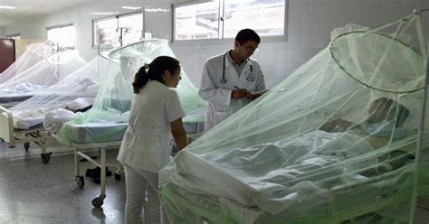 Dengue En Perú Dengue En Perú ¿cuáles Son Las 6 Regiones Con Más