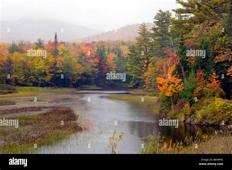 A Small Stream In The Adirondack Mountains With Fall Foliage Color In