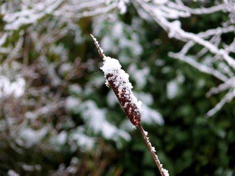 Prognoza Meteo Ianuarie Vremea Se Schimb Radical