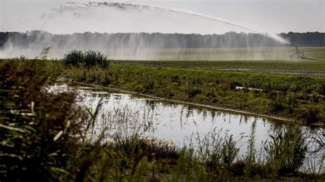 Europese Commissie Wil Strengere Regels Voor Waterkwaliteit