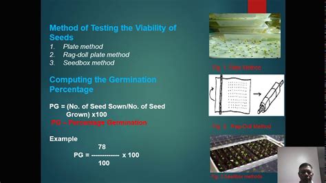 Seed Selection YouTube