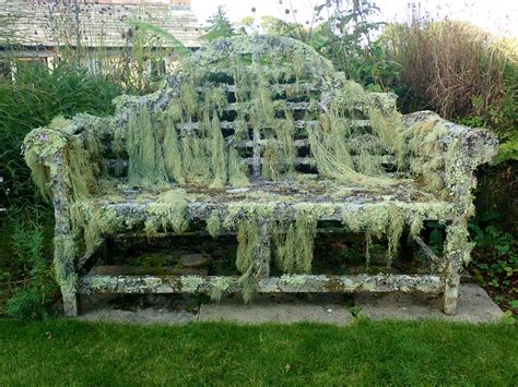 The British Lichen Society On Twitter Have Ever Seen A Bench So