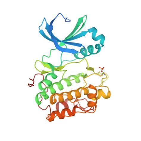 Rcsb Pdb A Human Pdk Kinase Domain In Complex With Allosteric