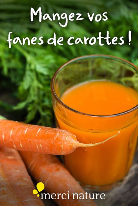 Mangez Vos Fanes De Carottes Food Carrots Vegetables