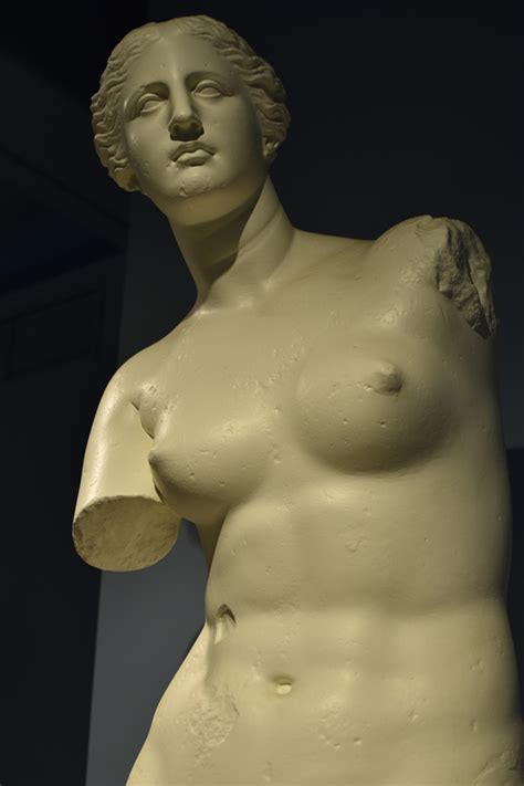 Venus De Milo Wilcox Classical Museum