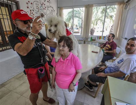 Terapia Perruna En Elche Que Da La Felicidad Informaci N