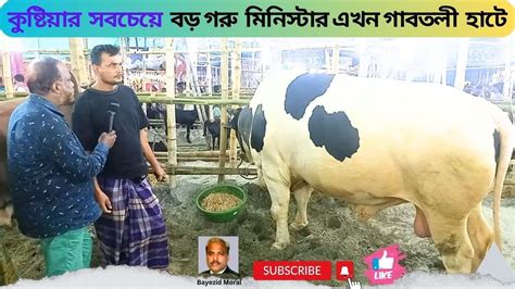 কুষ্টিয়ার সবচেয়ে বড় গরু মিনিস্টার এখন গাবতলী হাটে Bayezid Moral