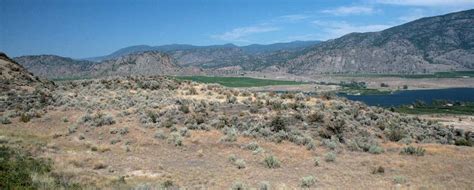 Sonoma Desert, Osoyoos, British Columbia