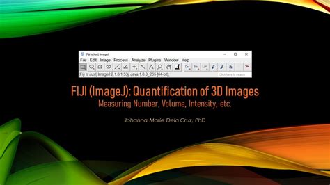 FIJI ImageJ Quantification Of 3D Images Measuring Number Volume