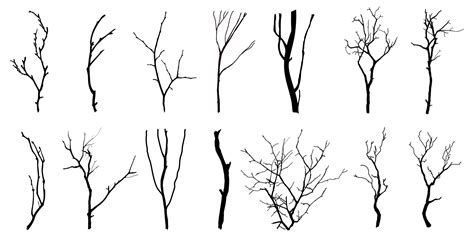 Black Branch Tree Or Naked Trees Silhouettes Hand Drawn Isolated Illustrations 45099882 Vector