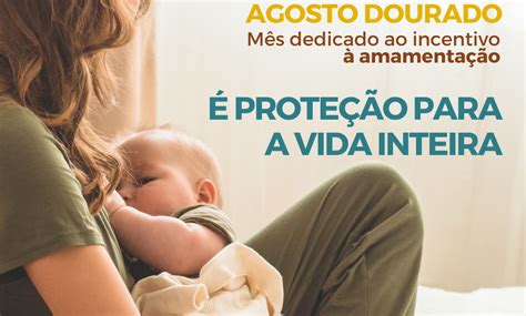 Agosto Dourado M S De Conscientiza O Sobre A Amamenta O Prefeitura