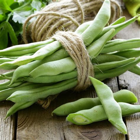 Italian Snap Pole Bean Seeds Organic Grow Organic Lupon Gov Ph