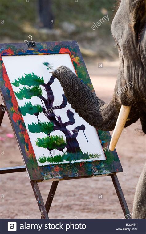 Elephant Painting Thailand at PaintingValley.com | Explore collection of Elephant Painting Thailand