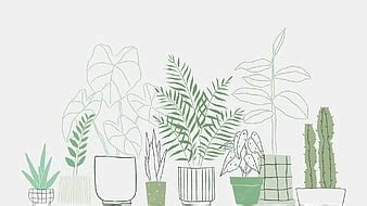 32+ Minimalist Aesthetic Plant Wallpaper - NoafTaarna