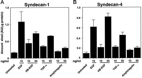 Regulated Shedding Of Syndecan And Ectodomains By Thrombin And