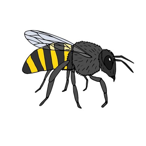 Premium Vector Vector Hand Drawn Doodle Sketch Colored Bee