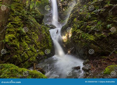 Waterfall In The Forest Stock Photo Image Of Green