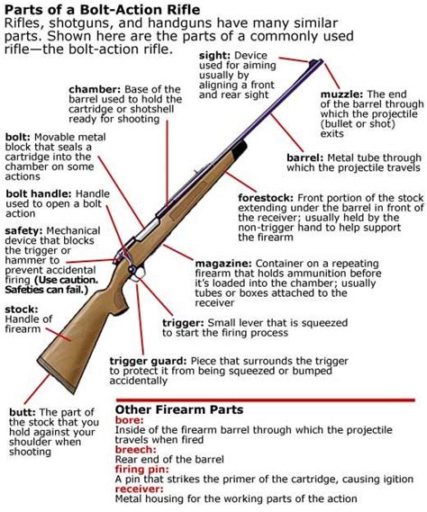 Diagram Showing Parts Of A Bolt Action Rifle South Carolina Hunter Safety Course Guns