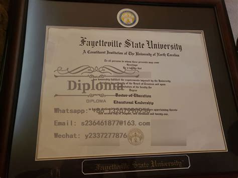 Where to Buy FSU MBA Fake Degree – Buy Fake Diploma Certificate-Order ...