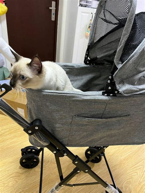 Bello Detachable Double Stroller 3 Color Cat Carrier with Wheels – MEWCATS