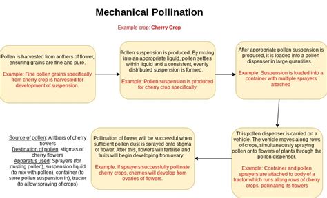 Artificial Pollination Diagram