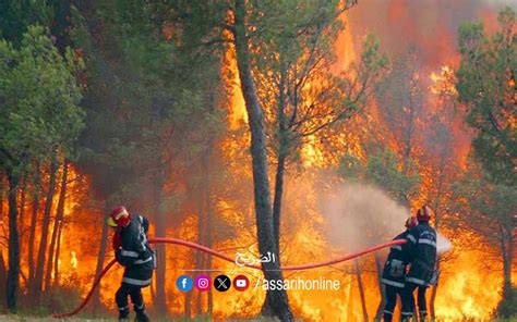 أريانة حريق بجبل جعفر طريق روّاد Assarih