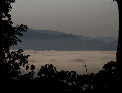 Early Morning Fog - michaelsulock.com