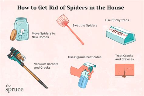 How To Get Rid Of Spiders In The House