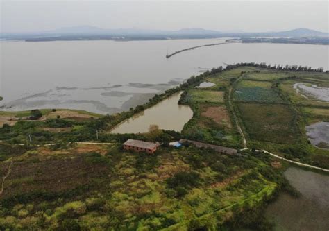 都昌鄱阳湖三桥规划都昌县城东片区规划图第2页大山谷图库