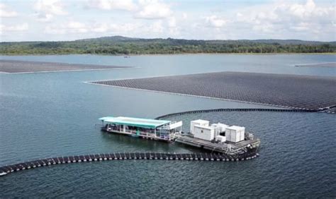 Acciona Energía Expands Floating Solar Project in Spain World Energy