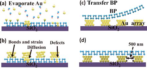 Figure From Cladded Surface Plasmon Enhanced Bp Photodetector Based